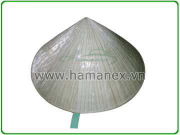 Vietnamese conical hats